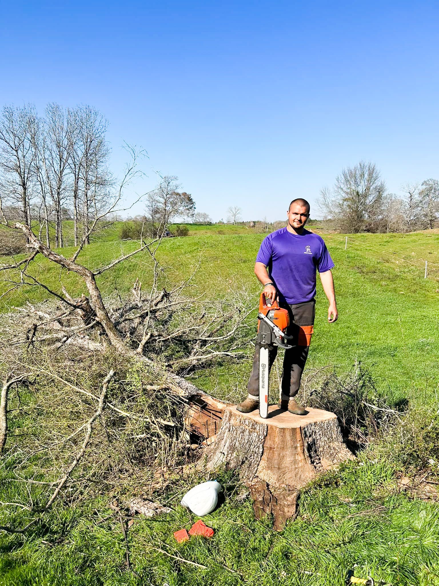 A man is standing on a tree stump with a chainsaw.