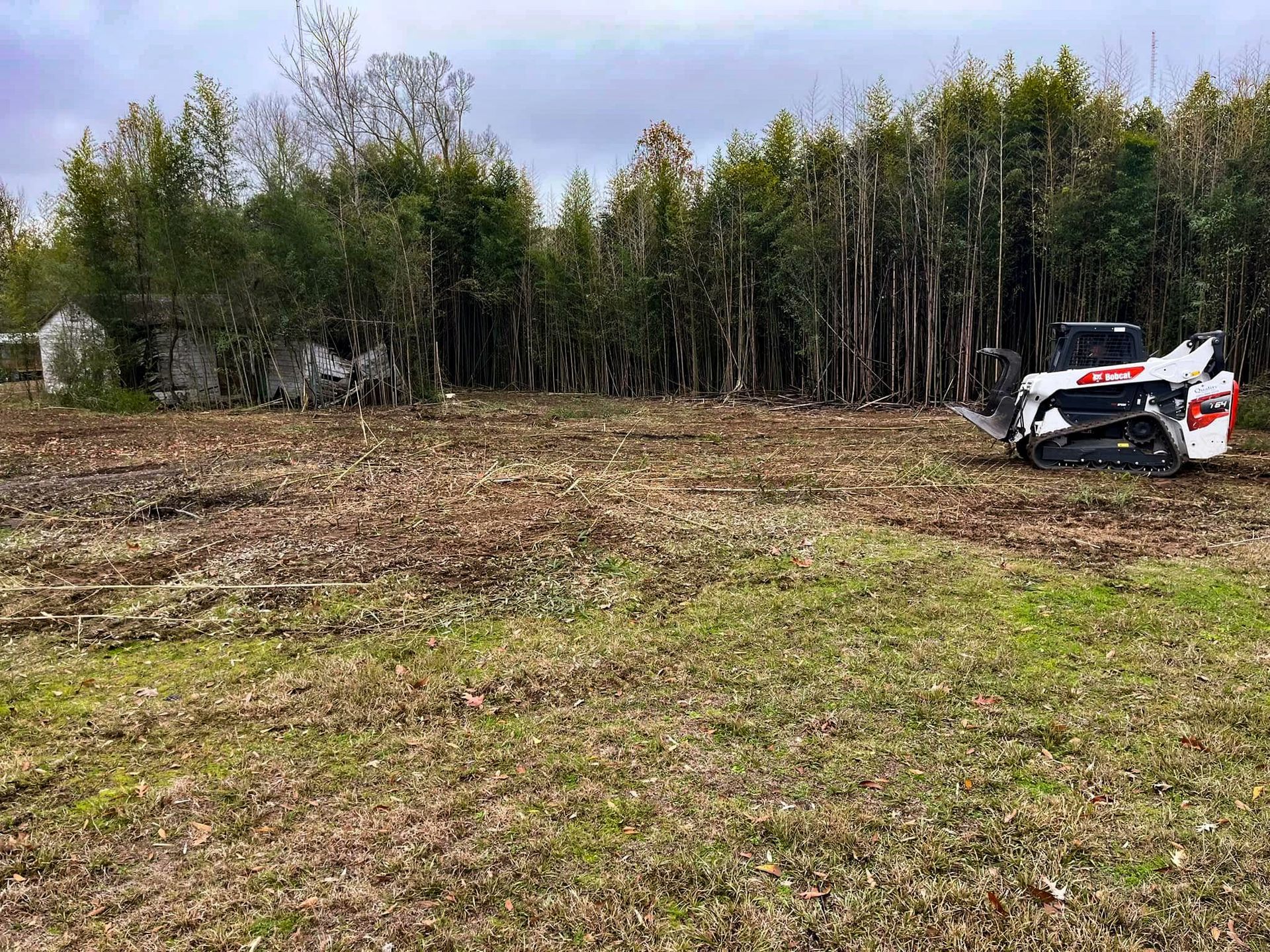 A bulldozer is driving through a field with trees in the background.