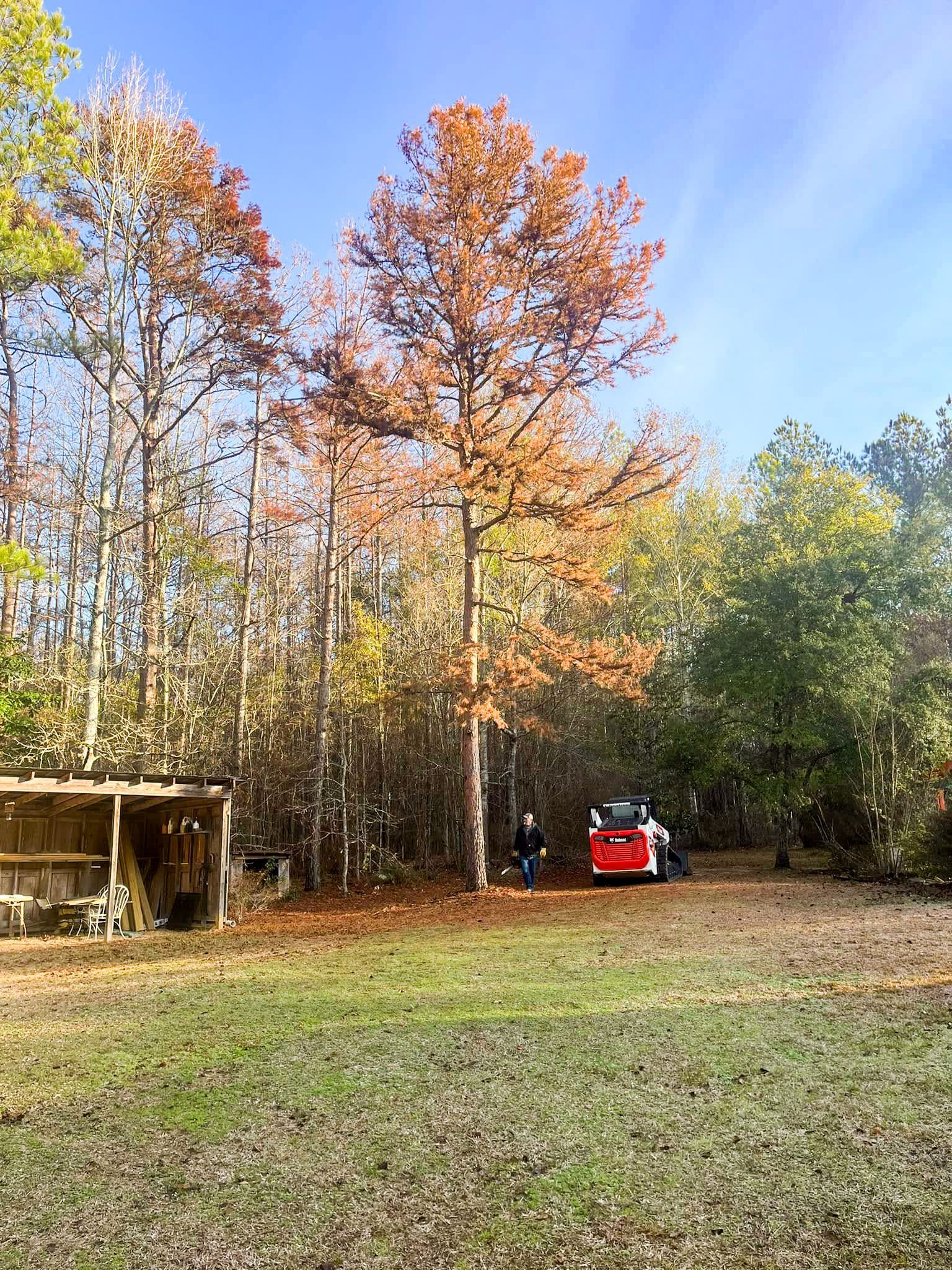 A red car is parked in the middle of a field in the woods.