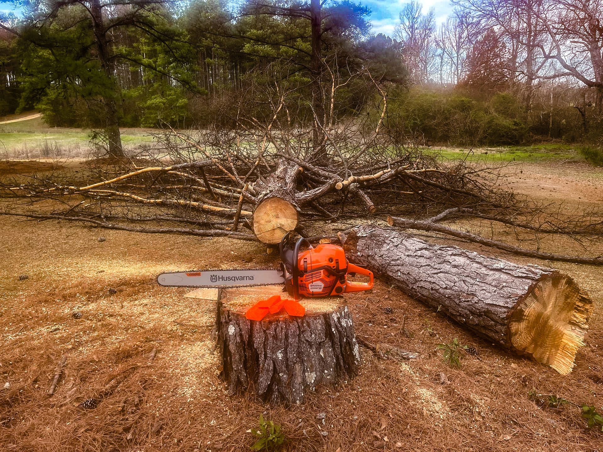 A chainsaw is sitting on top of a tree stump.