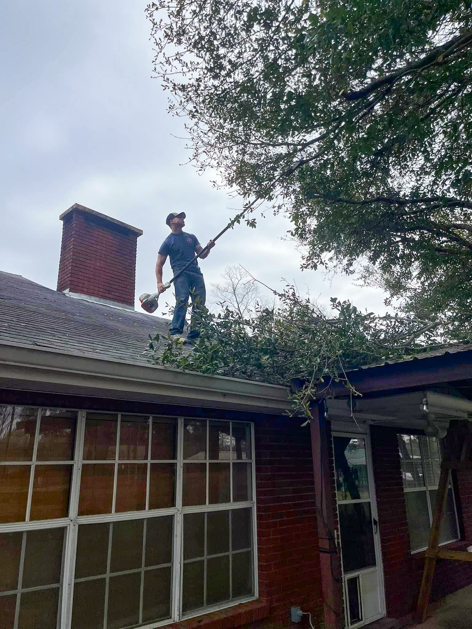 A man is standing on the roof of a house cutting a tree.