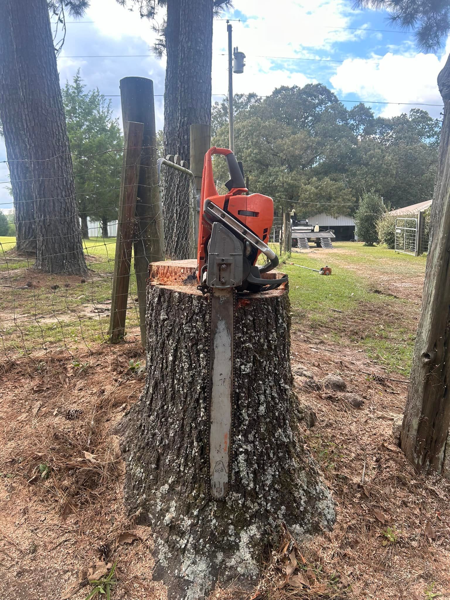 A chainsaw is sitting on top of a tree stump.