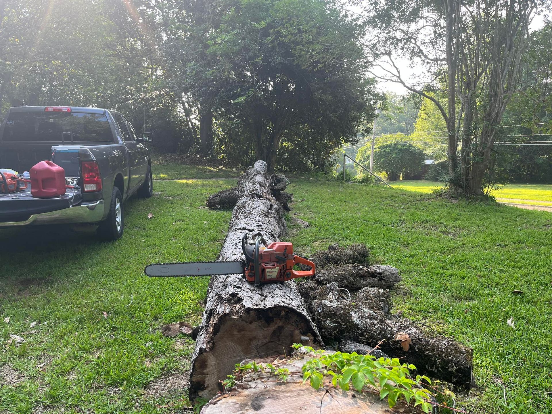 A chainsaw is sitting on top of a tree stump.