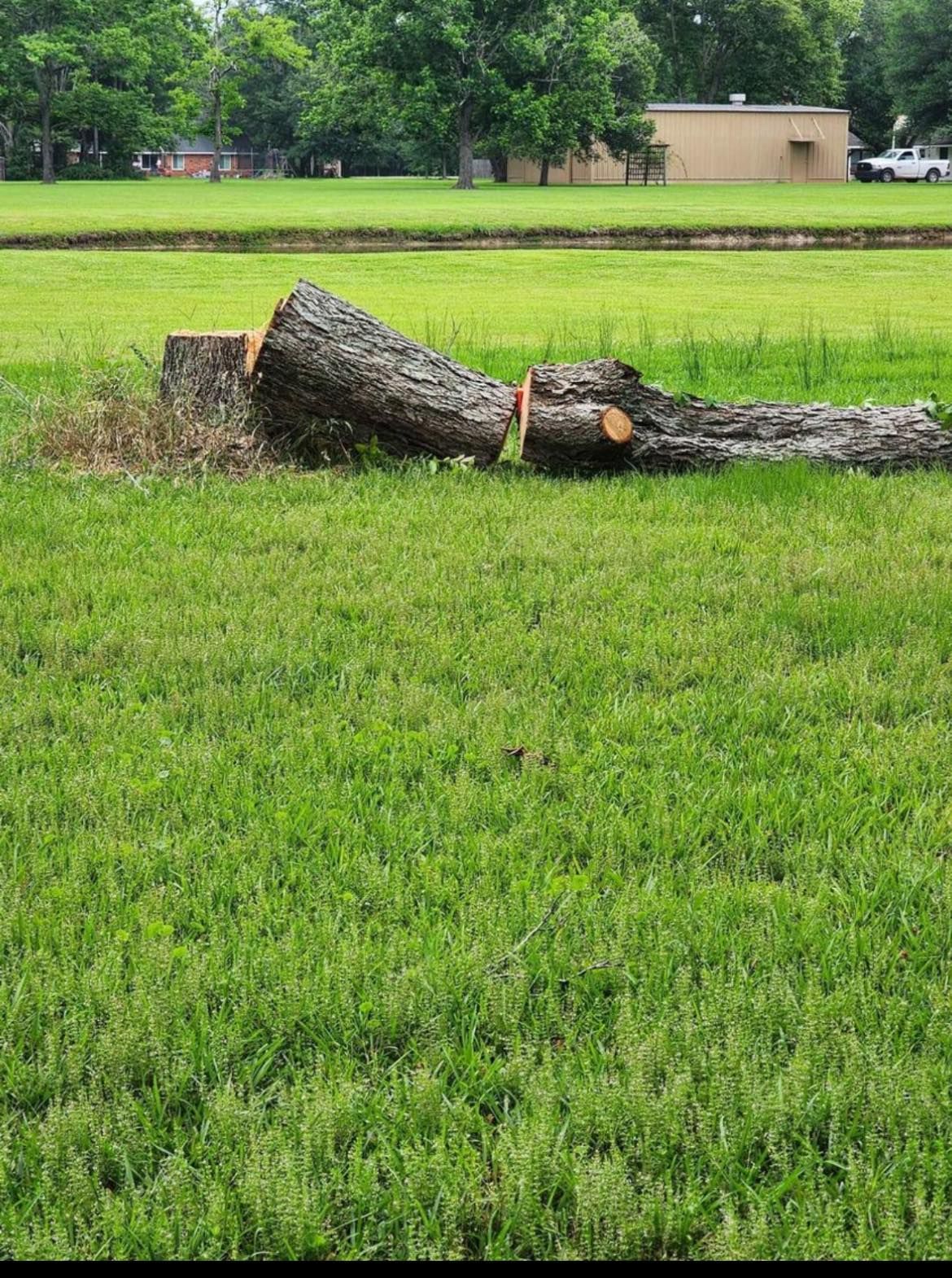 A tree stump is laying on top of a lush green field.