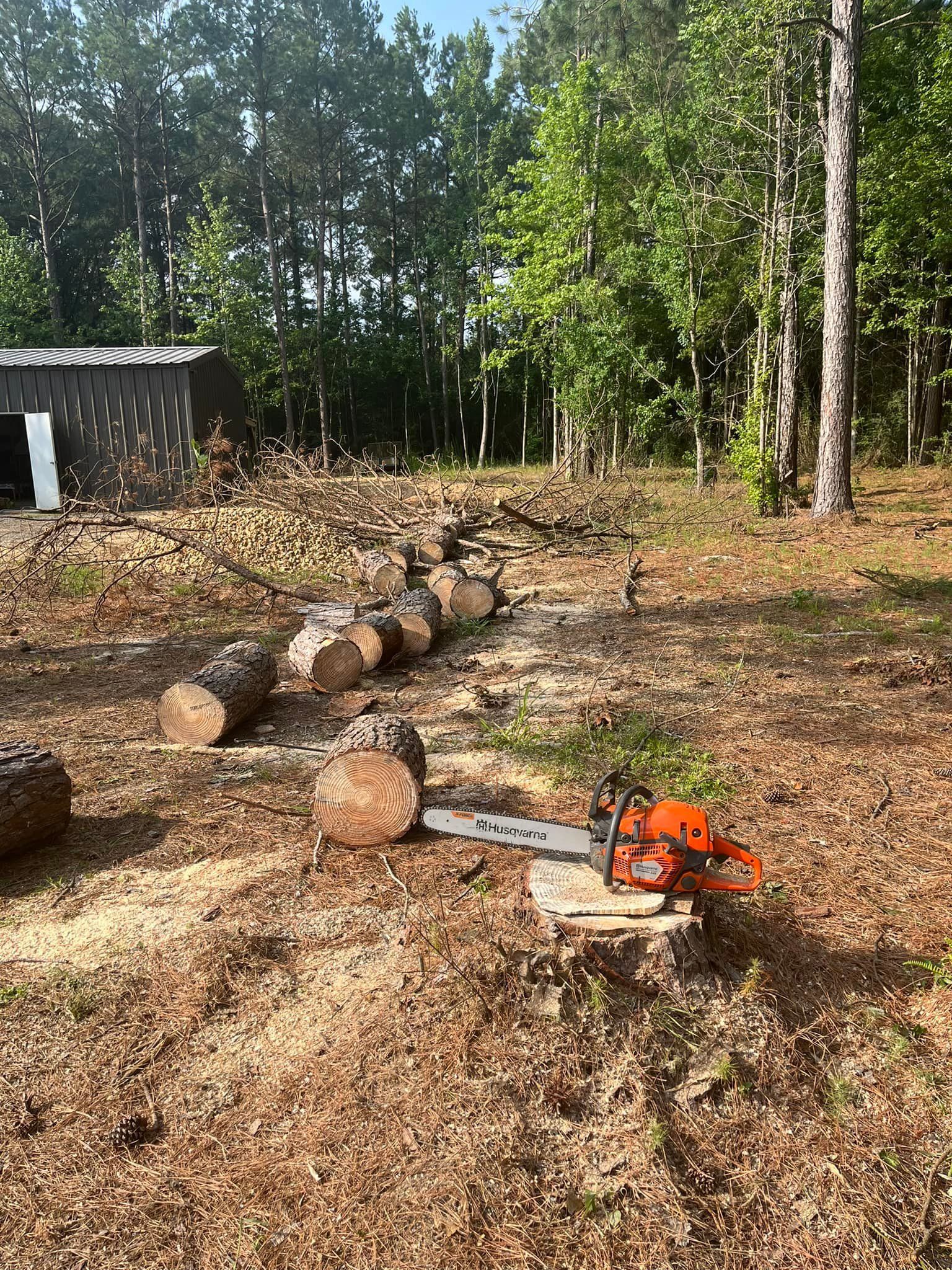 A chainsaw is sitting on a stump in the middle of a forest.
