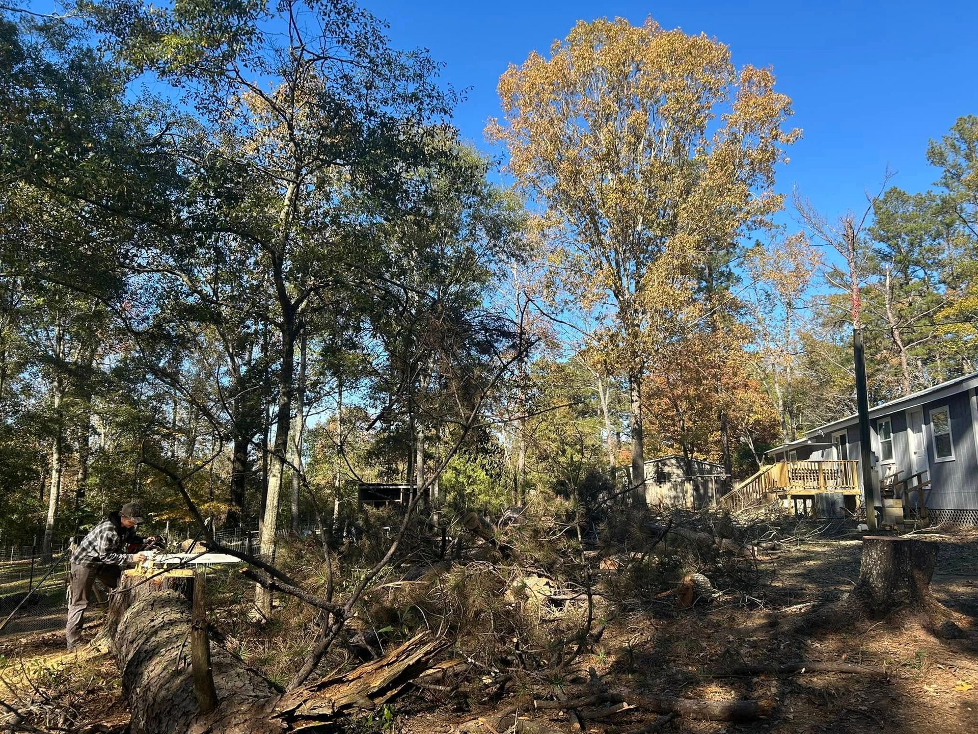A tractor is sitting in the middle of a forest next to a house.