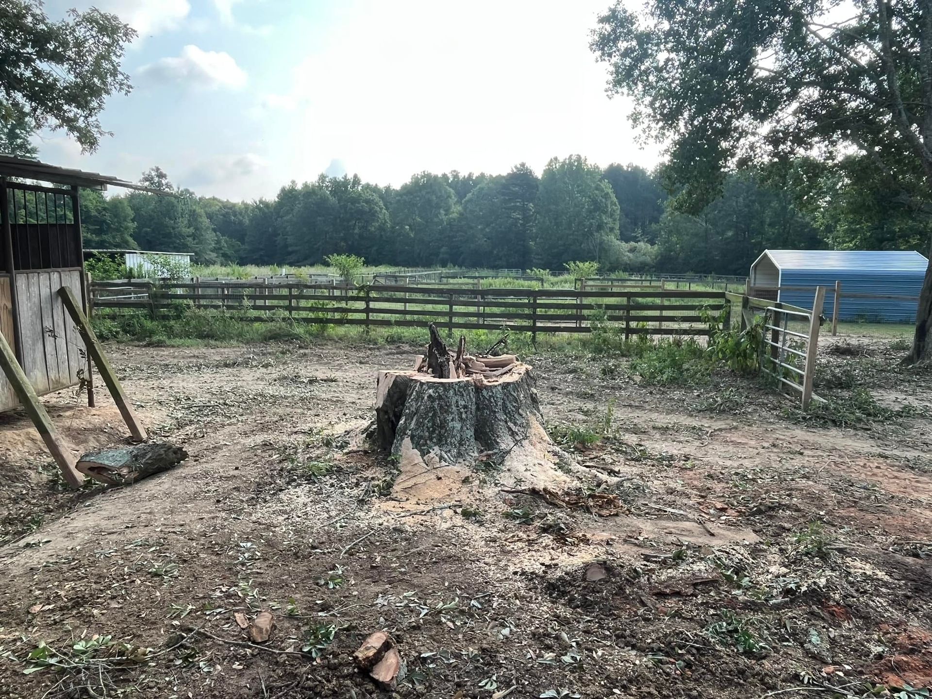 A large tree stump in the middle of a dirt field