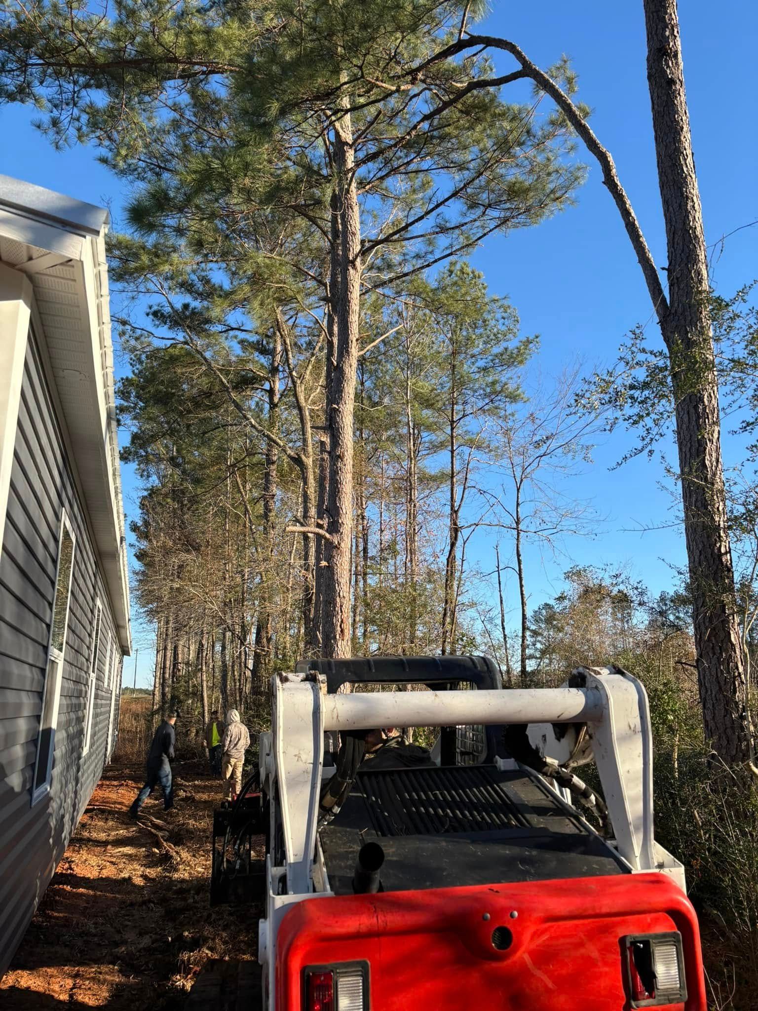 A red golf cart is parked in front of a house in the woods.