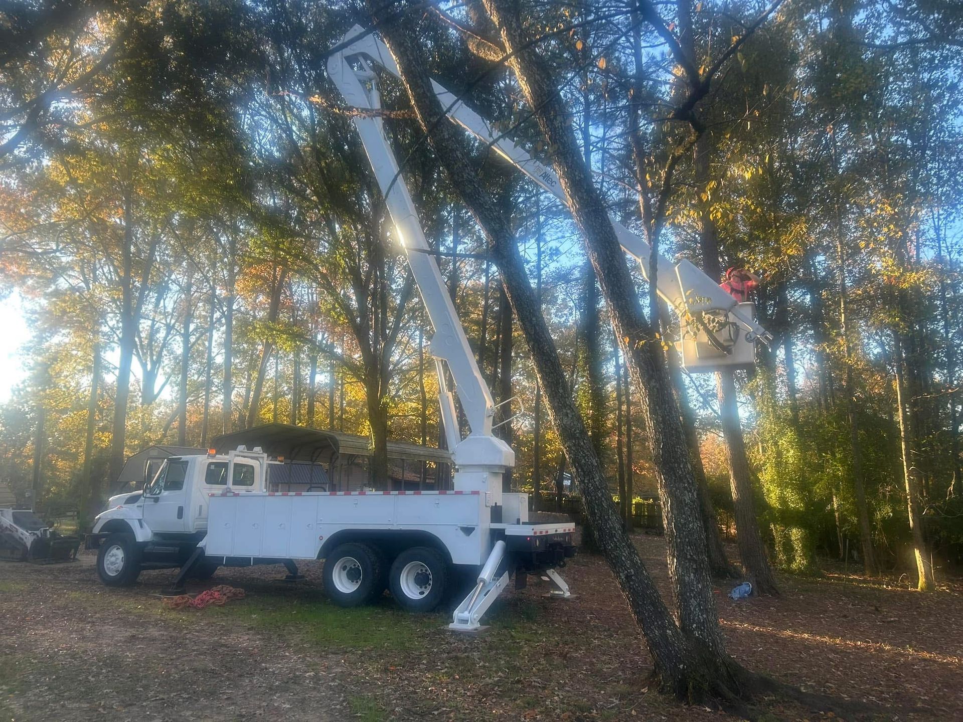 A white truck is parked in the middle of a forest.