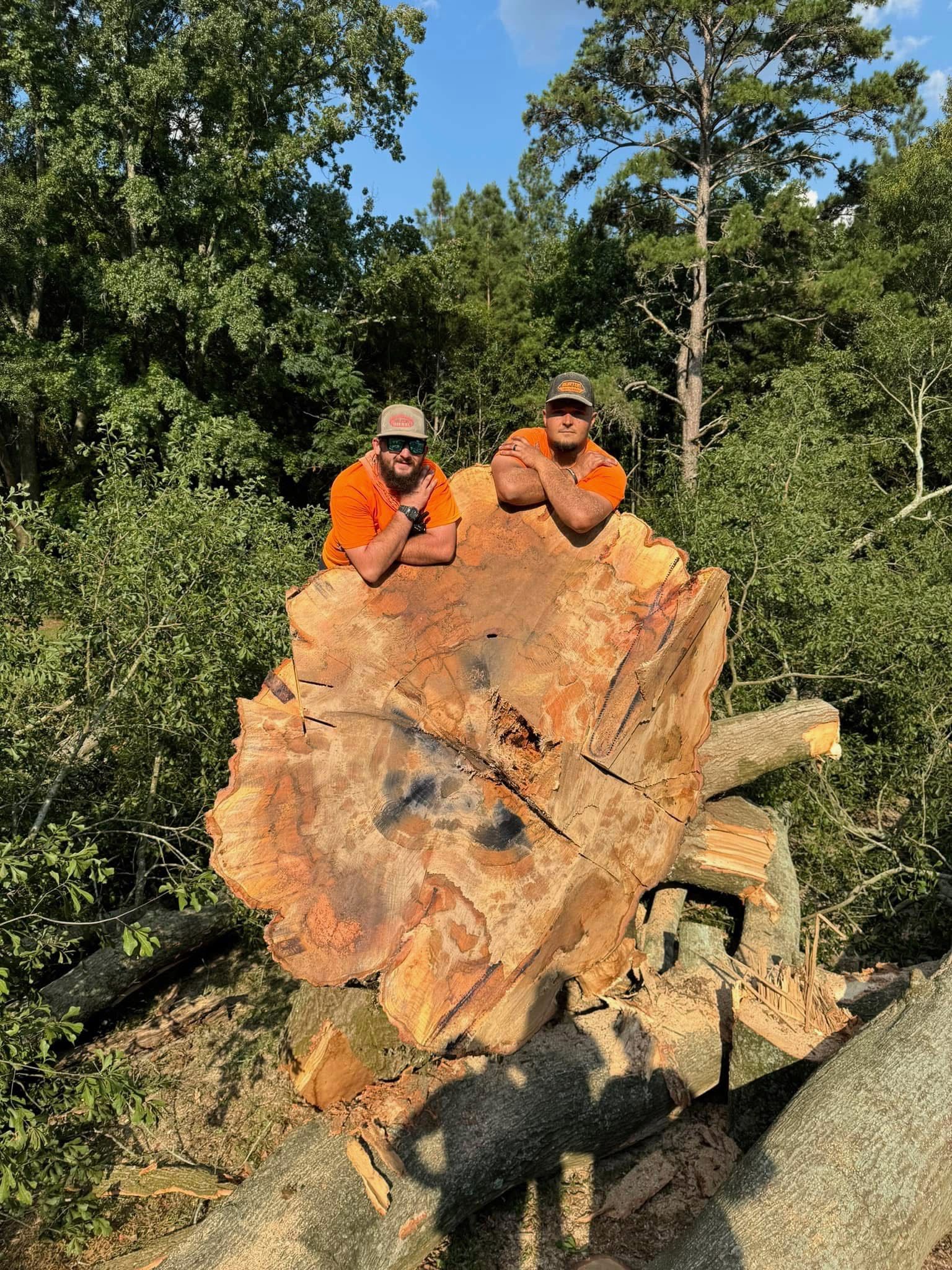 Two men are sitting on top of a large tree stump in the woods.