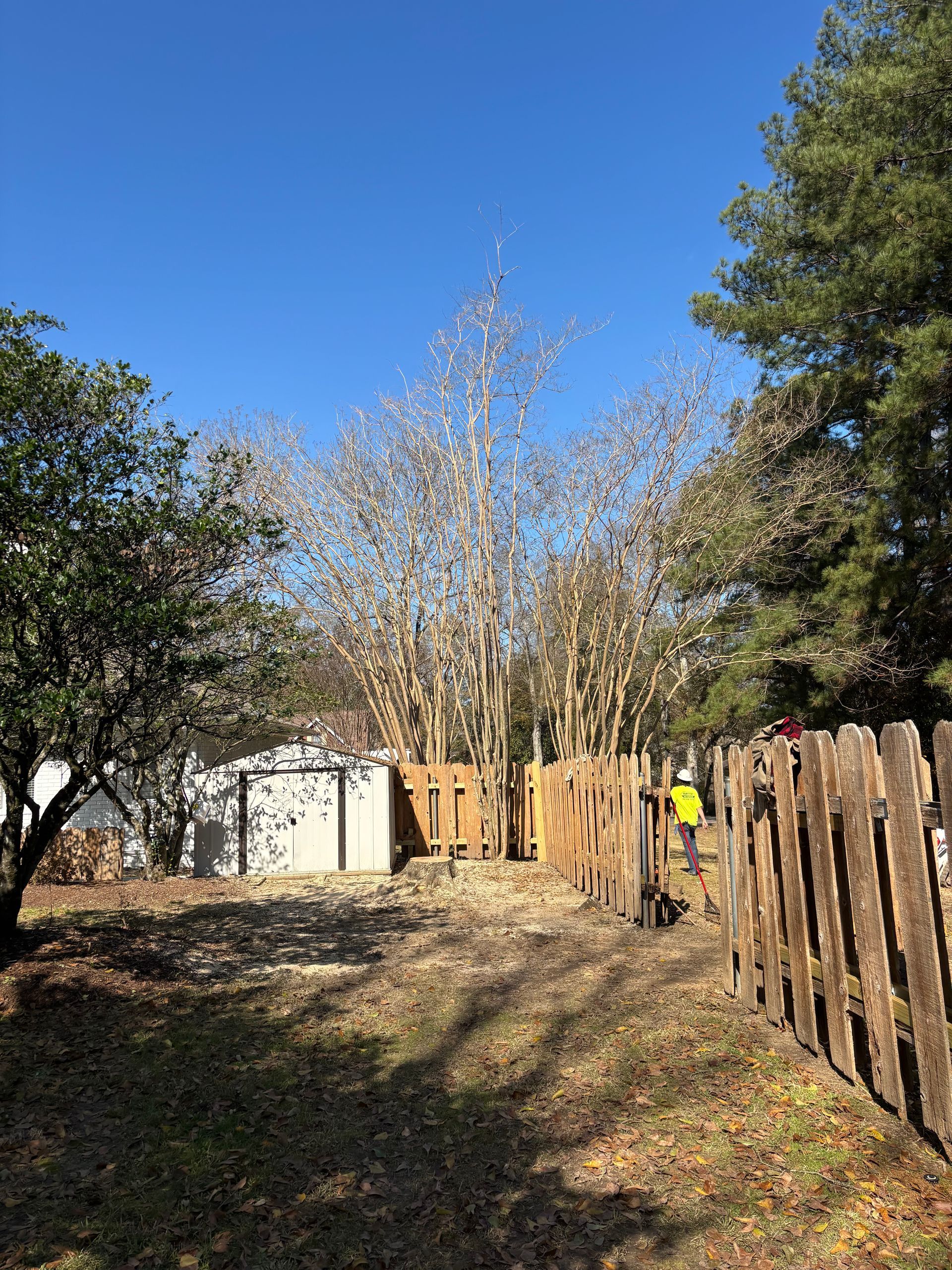 A wooden fence surrounds a yard with trees and a garage.