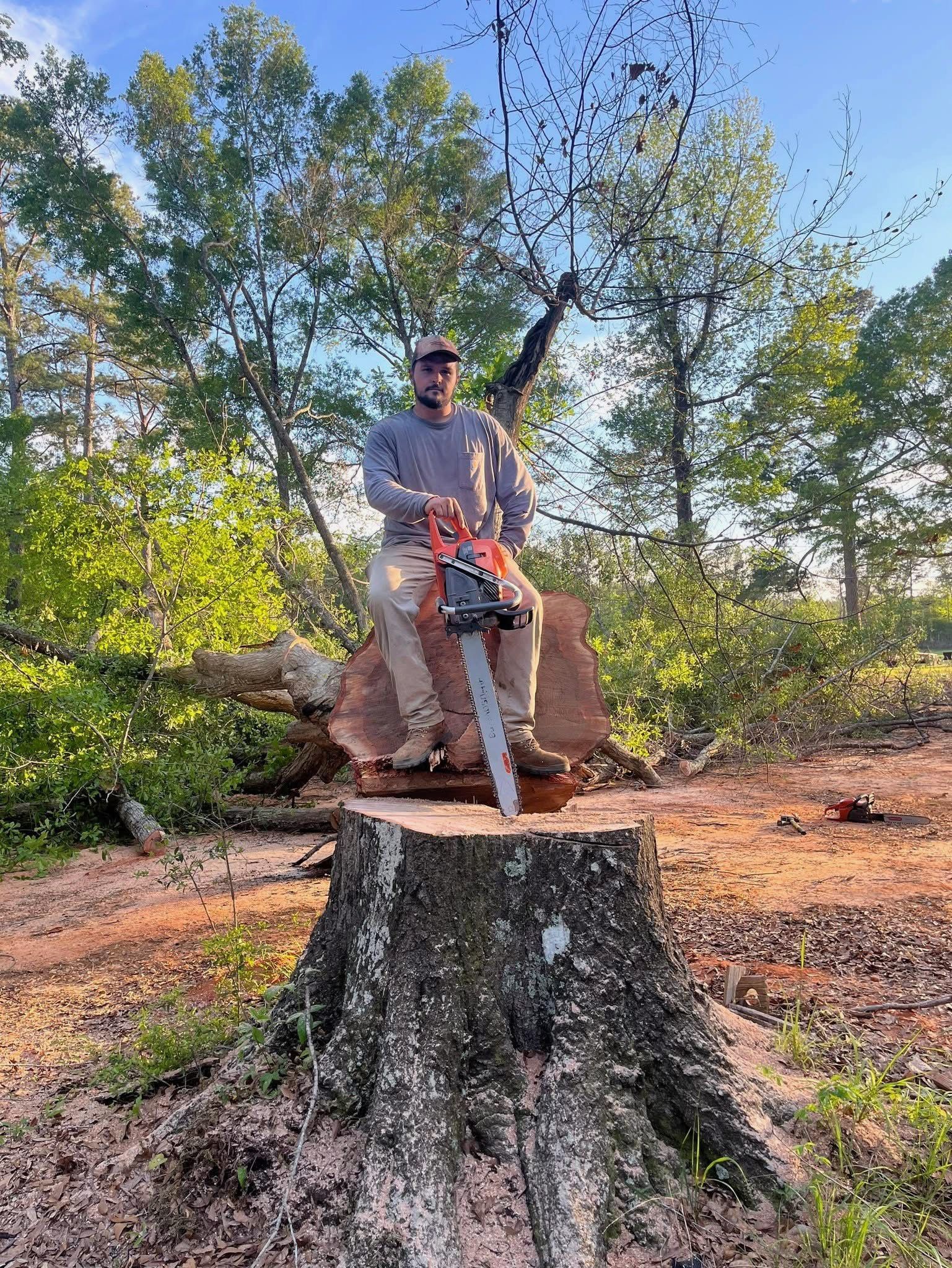 A man is standing on a tree stump with a chainsaw.