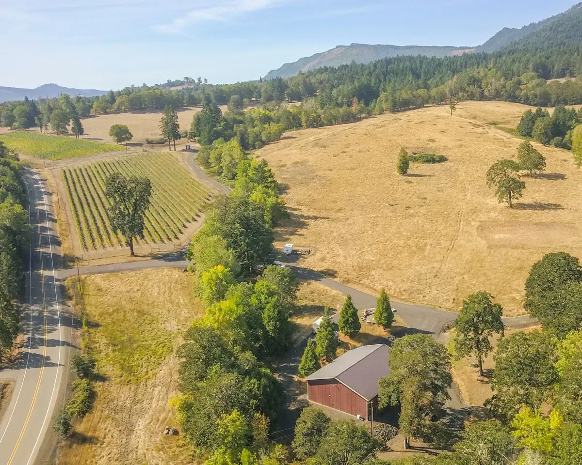 Vineyard and farmland with a red barn, road, trees, and hills under a sunny sky.