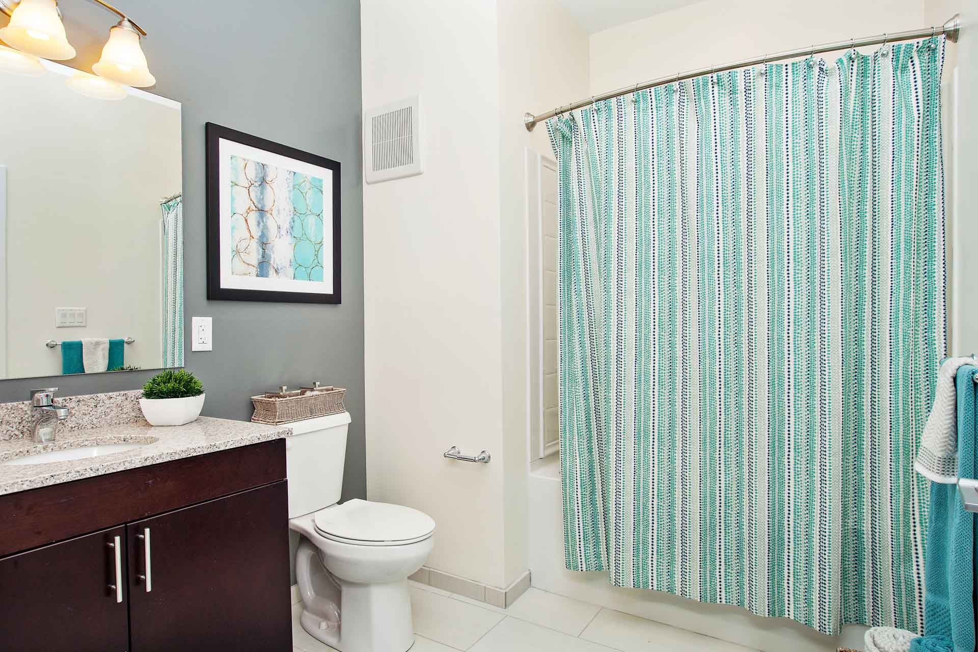 Apartment bathroom at The Residences At Great Pond.