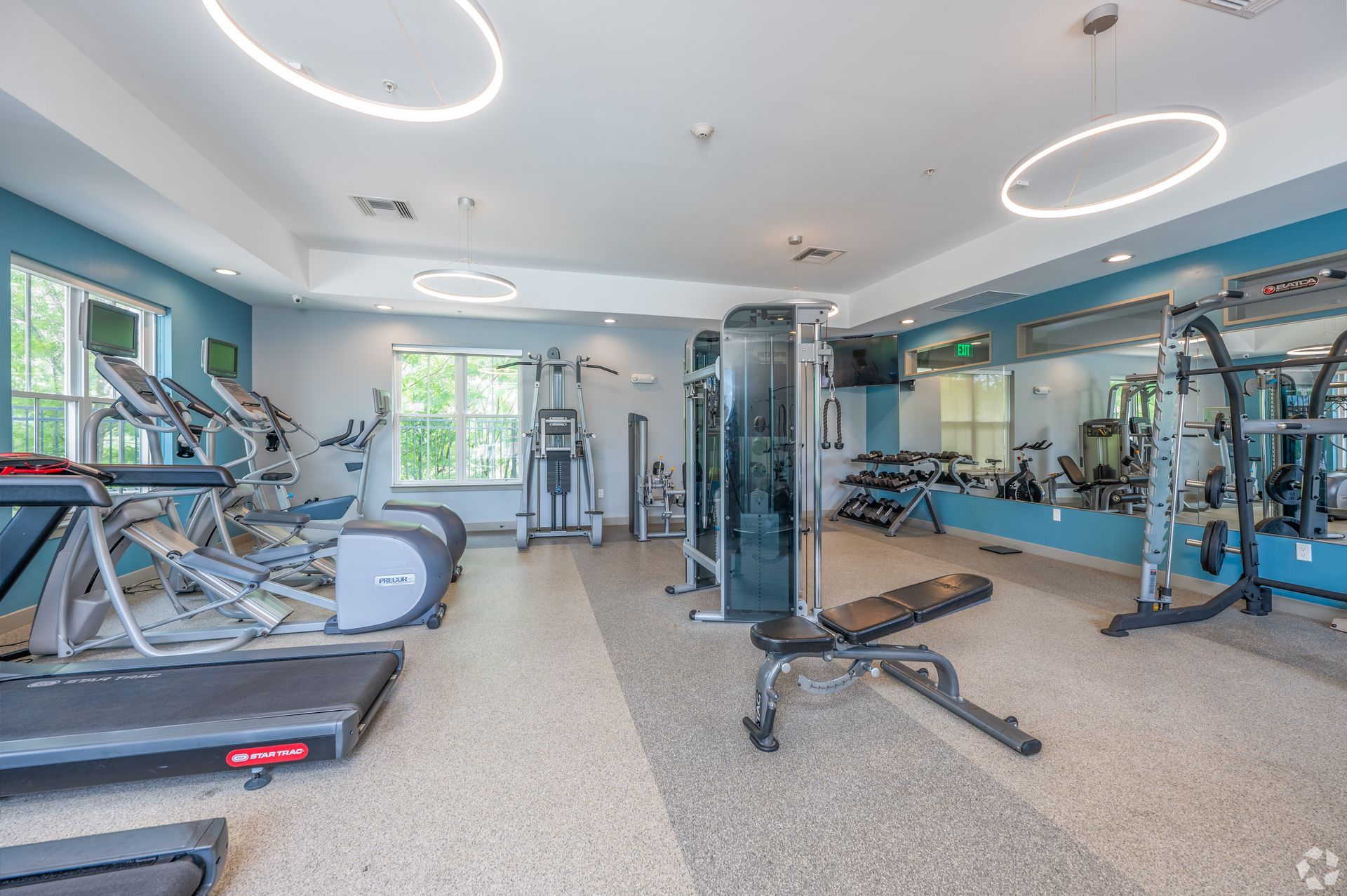 The Residences At Great Pond apartment community gym.