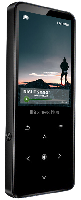 IBusiness Plus 2.0 + COPY