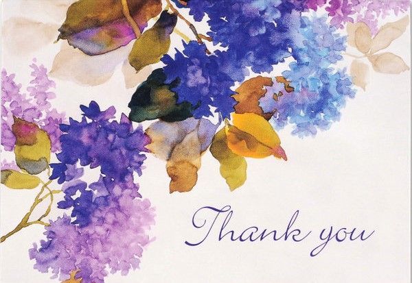 TY NOTE LILACS 14 cards