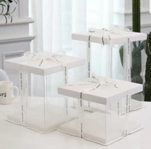 Clear Square Cake Box - 8 Inch (20cm)