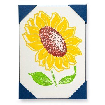 Sunflower CARD PACK 5