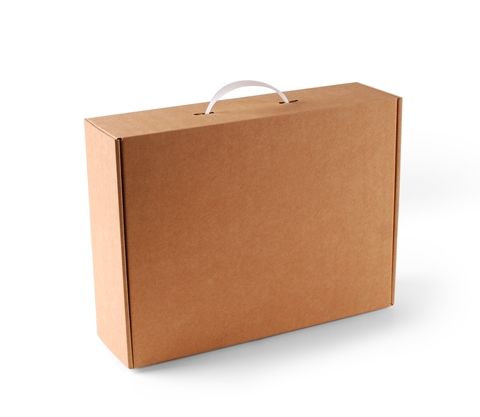 Carrying case box with handle REF: 2504