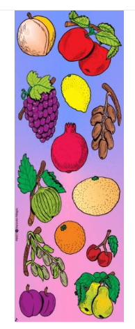 6027 Fruit Die-cut Stickers