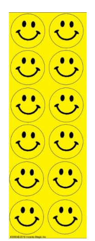 3060 Smiley Circle Stickers (Large)