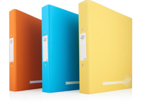 Premto Neon A4 PP Ring Binder 3 Asst.
