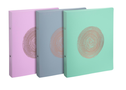 Ellipse Ringbinder 2R 30mm PP A4