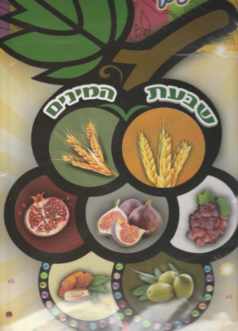 SHEVAS HAMENEM VELVET CRAFT