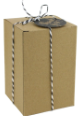 00721 Kraft Box 11x11x12cm