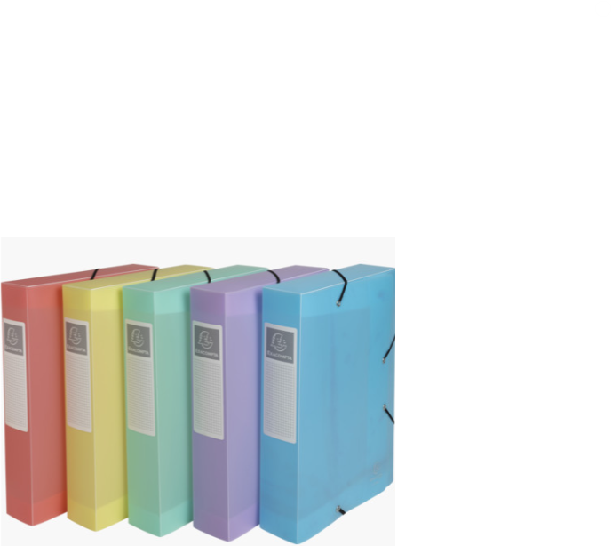 Box File Cartobox A4 60mm PP Ch.Paste