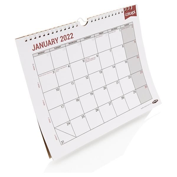 Concept 2022 Easy Glance Monthly Planner