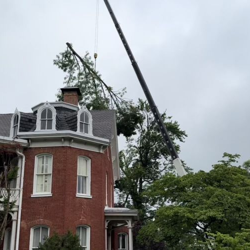 Tree branches fallen on a house with a blue sky background, potentially after a storm.