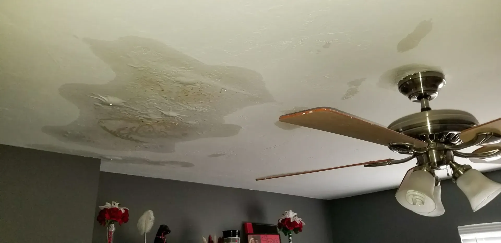 A large water stain on a beige ceiling near a brass ceiling fan with glass shades.