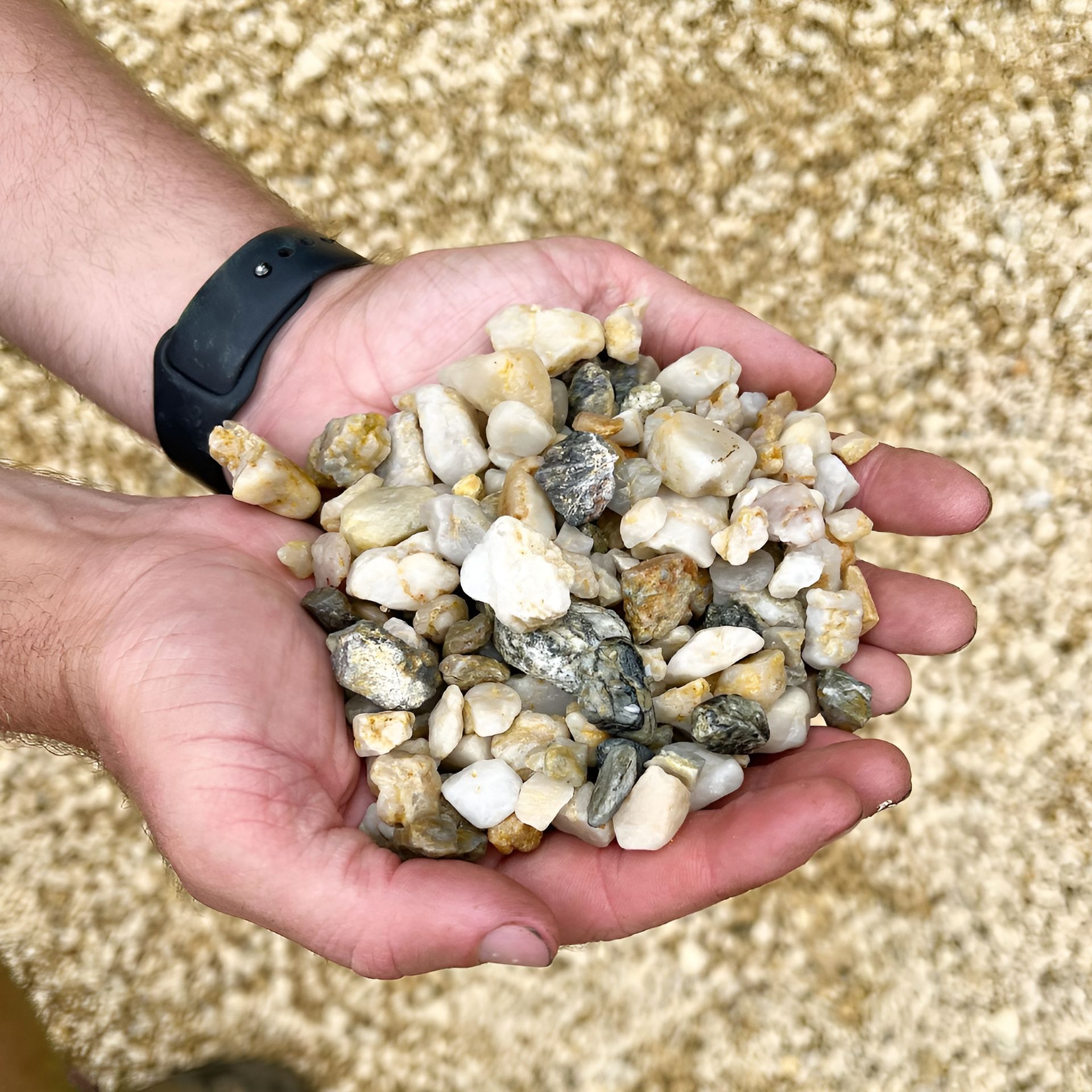 A Person Is Holding A Pile Of Rocks In Their Hands — Schutz Landscape and Garden Supplies in Tomerong, NSW