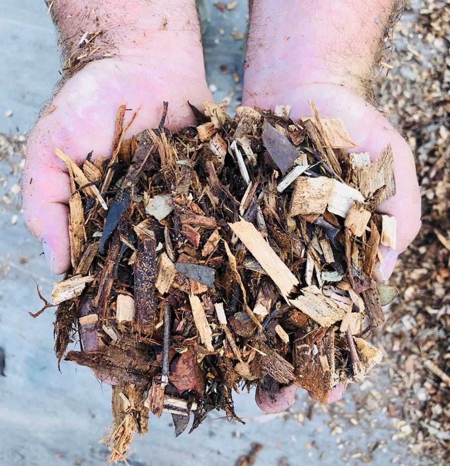 A Person Is Holding A Pile Of Wood Chips In Their Hands — Schutz Landscape and Garden Supplies in Tomerong, NSW