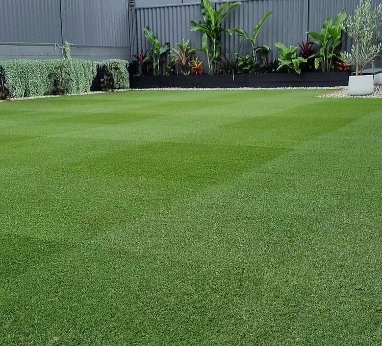 A Lush Green Lawn In A Backyard With A Fence In The Background — Schutz Landscape and Garden Supplies in Tomerong, NSW
