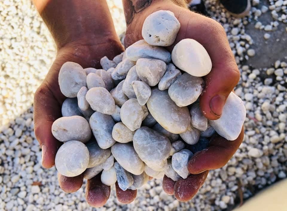 A Person Is Holding A Pile Of White Rocks In Their Hands — Schutz Landscape and Garden Supplies in Tomerong, NSW
