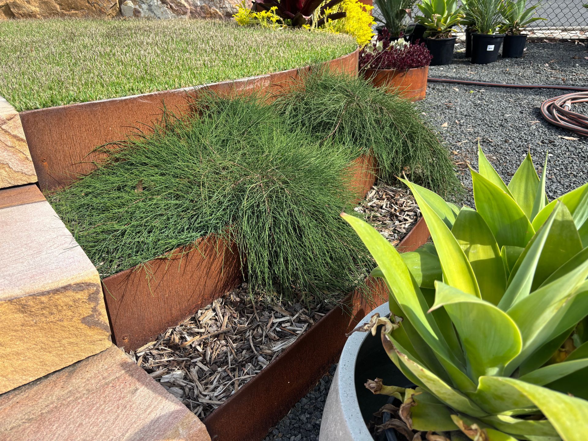 Rust-coloured tiered garden bed with green plants and tan stone edging, near potted plants and gravel  — Schutz Landscape and Garden Supplies in Tomerong, NSW