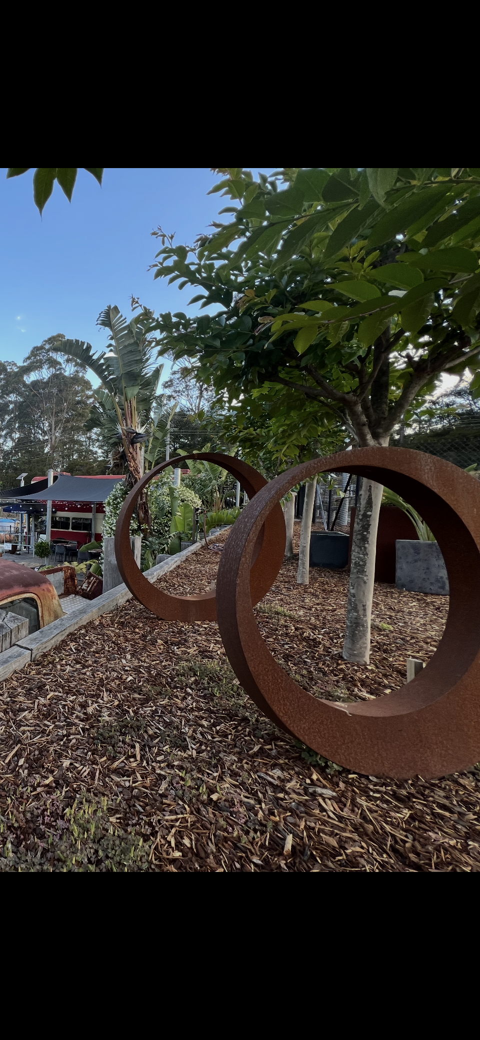 Rusty metal ring sculptures in a landscape with mulch, trees, and a blue sky — Schutz Landscape and Garden Supplies in Tomerong, NSW