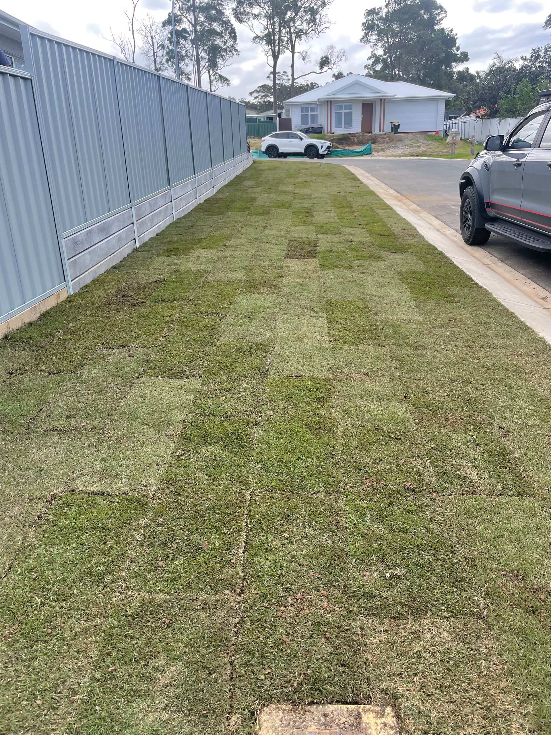 Green grass strip alongside a gray fence and a paved road with a truck parked on it. A house is in the background.