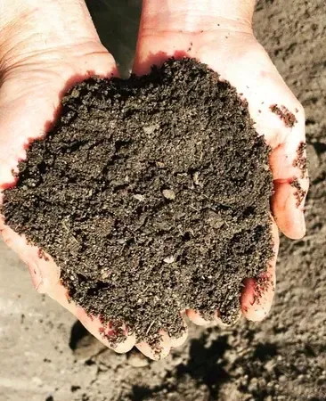 Turf Mix — Schutz Landscape and Garden Supplies in Tomerong, NSW