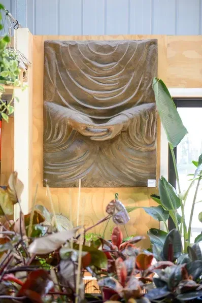 Indoor And Outdoors Group Of Ornamentals Plants — Schutz Landscape and Garden Supplies in Tomerong, NSW