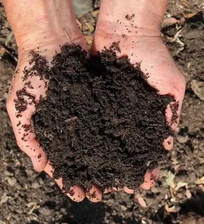 Mushroom Compost — Schutz Landscape and Garden Supplies in Tomerong, NSW