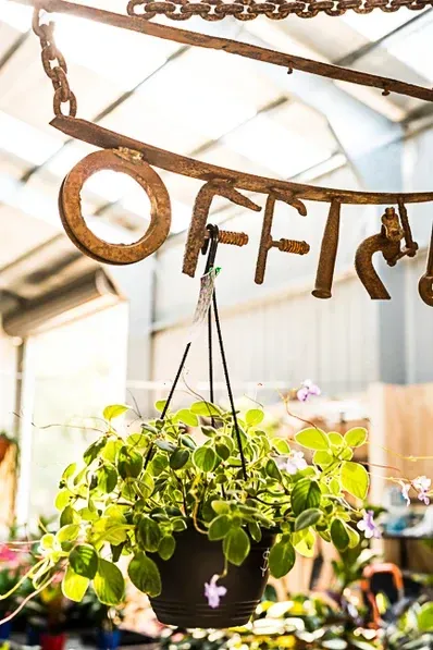 A Potted Plant Is Hanging From A Chain Under A Sign That Says Offer — Schutz Landscape and Garden Supplies in Tomerong, NSW