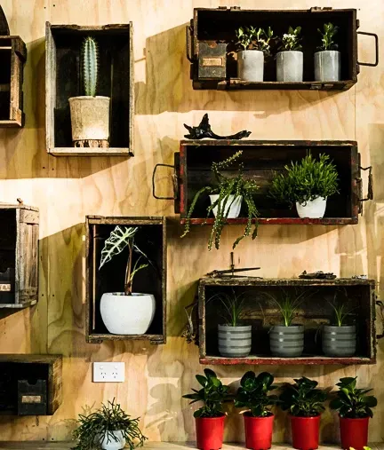 A Wall Of Wooden Boxes Filled With Potted Plants — Schutz Landscape and Garden Supplies in Tomerong, NSW