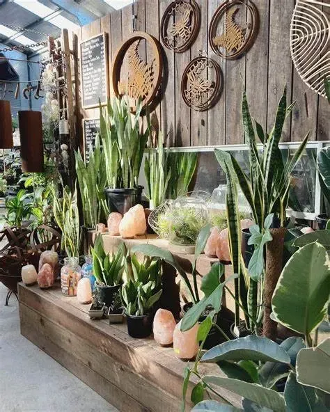 A Room Filled With Lots Of Plants And Decorations — Schutz Landscape and Garden Supplies in Tomerong, NSW