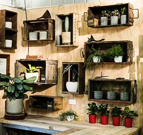A Wall Of Wooden Boxes Filled With Potted Plants — Schutz Landscape and Garden Supplies in Tomerong, NSW