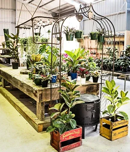 A Warehouse Filled With Lots Of Potted Plants And A Wooden Table — Schutz Landscape and Garden Supplies in Tomerong, NSW
