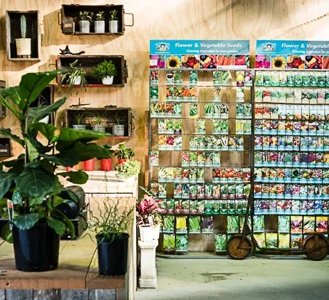 A Display Of Flowers And Vegetable Seeds In A Store — Schutz Landscape and Garden Supplies in Tomerong, NSW